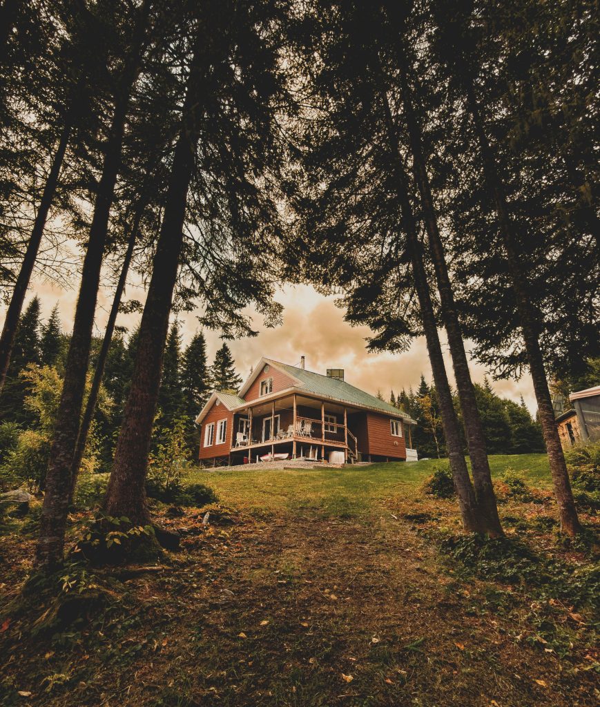 defensible space around mountain home in Salida in Central Colorado