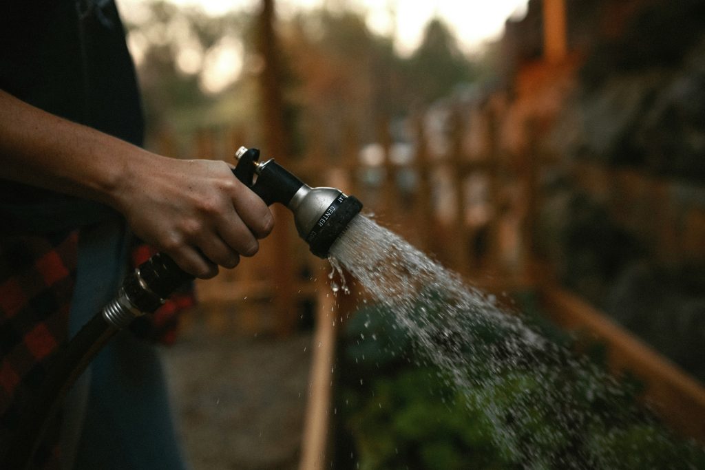 Tree watering in Buena Vista Colorado to support healthy root growth